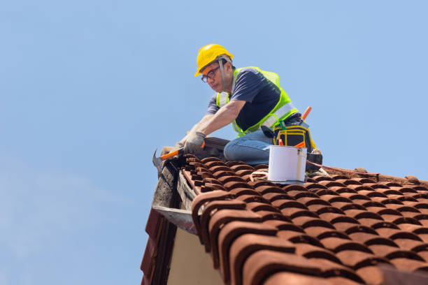 Best Metal Roofing Installation  in South Palm Beach, FL